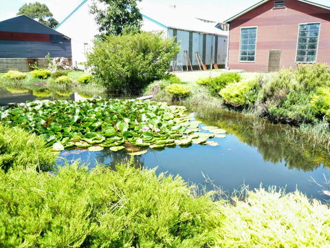 Yarragon Dairy Family Room - Darwin Holiday 1