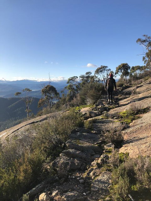 Yours And Theirs Pet Friendly Accommodation - Darwin Holiday 0