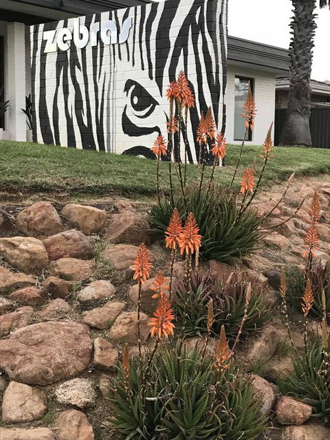 Zebras Guest House Geraldton - Darwin Holiday 1