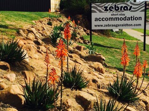 Zebras Guest House Geraldton - Darwin Holiday 2