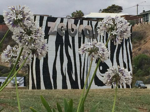 Zebras Guest House Geraldton - Darwin Holiday 0