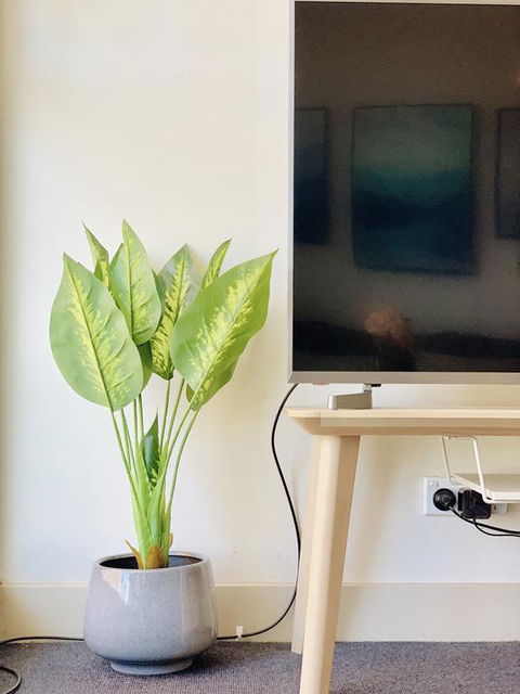 ZEN Homes On Collins - Darwin Holiday 3