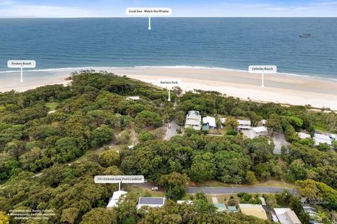 Adder View By Discover Stradbroke - Darwin Holiday 2