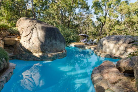 A Paradise For Dogs And A Magical Retreat For Hoomans - Darwin Holiday 0