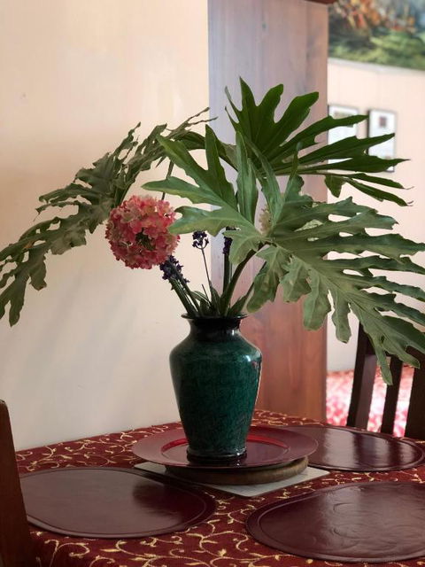 Albany Foreshore Guest House - Darwin Holiday 2