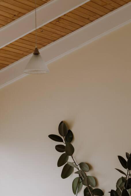Amarela Haus - Calming Retreat Within Oceans Reach - Darwin Holiday 1