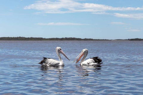 Amazing Ansons Bay Remote Paradise For The Family In The Bay Of Fires Area - Darwin Holiday 2