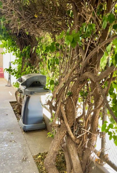 Argent Abode CBD - Darwin Holiday 1