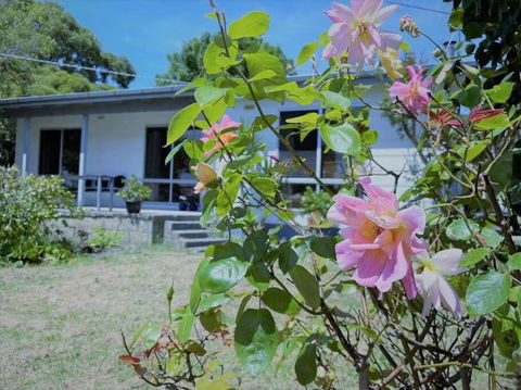 Apollo Bay Holiday House - Darwin Holiday 1