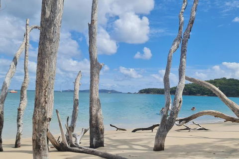 ARay At Cooee Bay - Apt B - Beach House Yeppoon - Darwin Holiday 1