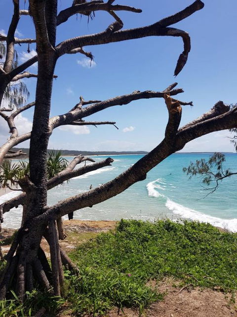 At Melaleuca 3 - Darwin Holiday 2