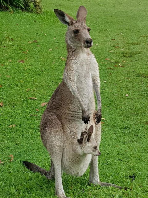 At Melaleuca 3 - Darwin Holiday 3