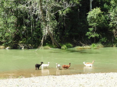 Avalon River Retreat - 400 Acre Riverside Oasis - Darwin Holiday 4