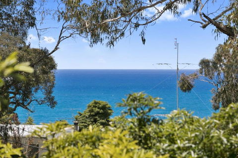 Avirgonia - Darwin Holiday 2