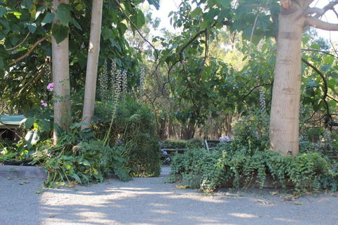 Avoca Park Equestrian Farmstay - Darwin Holiday 2