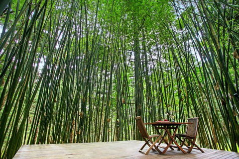 Azabu Retreat & Spa - Darwin Holiday 1
