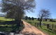 Bally Patrick Homestead, Merrijig - thumb 3