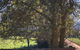 Bally Patrick Homestead, Merrijig - thumb 2