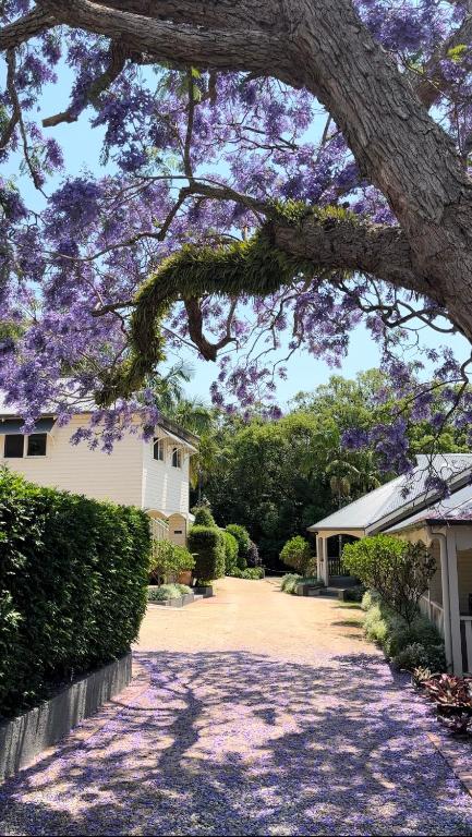 Bangalow Guesthouse - Darwin Holiday 0