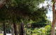 Bank House Tamborine Mountain - thumb 4