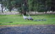 Banksia Park Estate - thumb 4