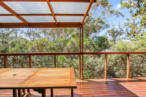 Banksia Tops - Darwin Holiday 3
