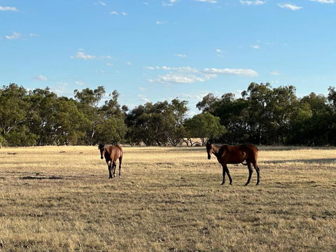Banyena Homestead By Tiny Away - Darwin Holiday 2