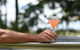 Barefoot & Boots Farmhouse Kingscliff Hinterland - thumb 2