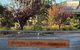 Barossa Garden Homestay - thumb 1