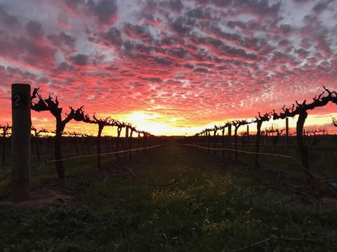 Barossa House - Darwin Holiday 3
