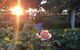 Barossa House - thumb 1
