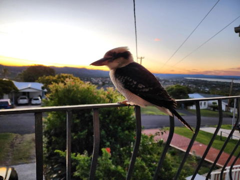 Bateau Bay Family Escape - Magical Sunset Views - Darwin Holiday 1