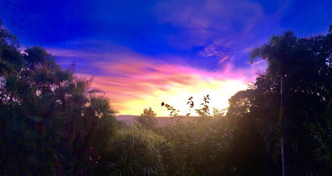 Daintree Manor B&B - Darwin Holiday 3