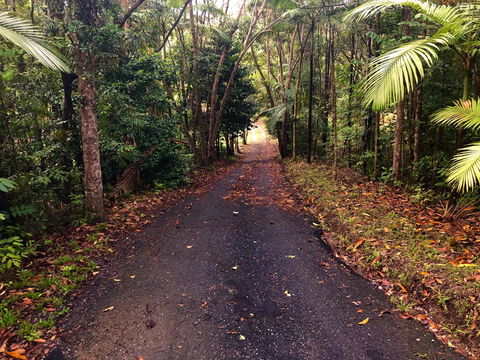 Daintree Manor B&B - Darwin Holiday 12