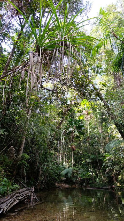 Daintree Manor B&B - Darwin Holiday 7