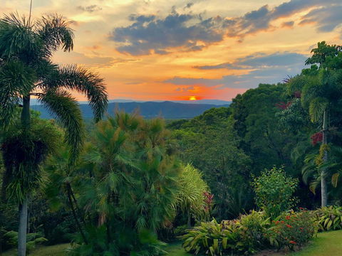 Daintree Manor B&B - Darwin Holiday 13