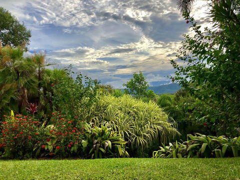 Daintree Manor B&B - Darwin Holiday 2