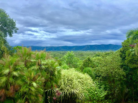 Daintree Manor B&B - Darwin Holiday 0