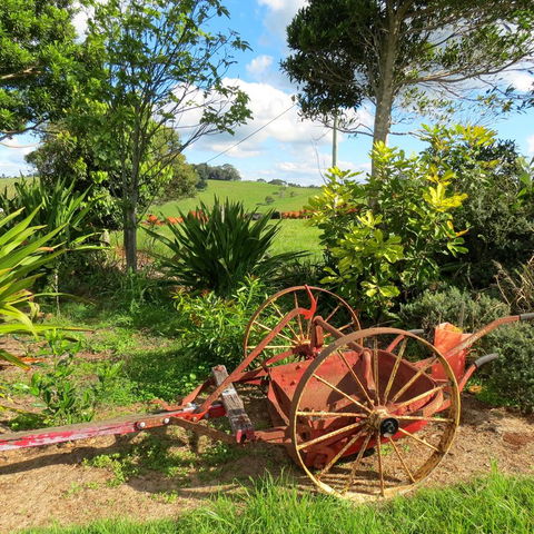 Maleny Springs Farm - Darwin Holiday 37