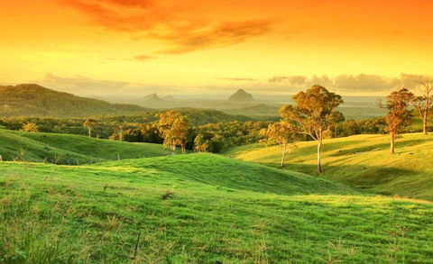 Maleny Springs Farm - Darwin Holiday 20