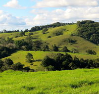 Maleny Springs Farm - Darwin Holiday
