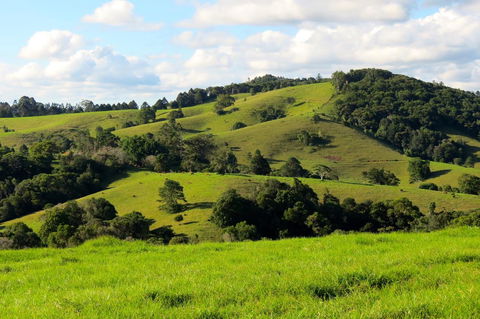 Maleny Springs Farm - Darwin Holiday 0