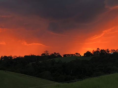 Maleny Springs Farm - Darwin Holiday 6