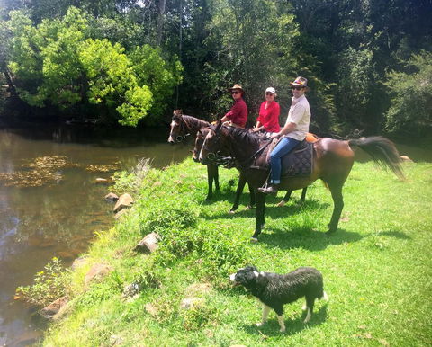 Maleny Springs Farm - Darwin Holiday 33