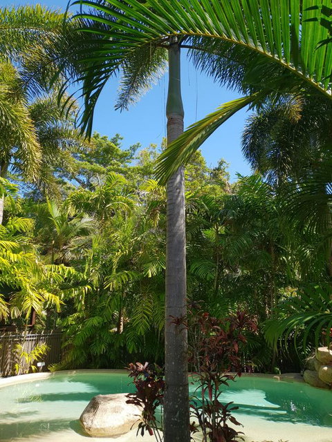 Cassawong Cottages - Darwin Holiday 16