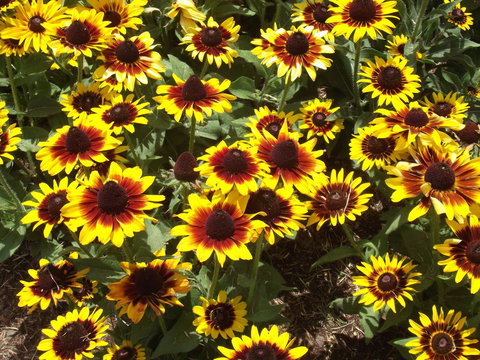 Eastgate On The Range Motel - Darwin Holiday 16