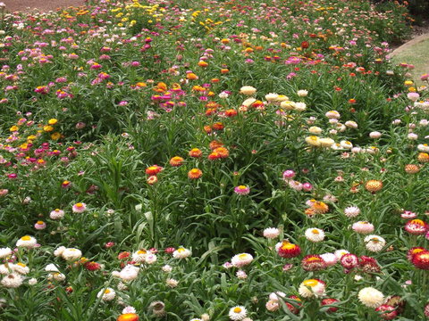 Eastgate On The Range Motel - Darwin Holiday 37