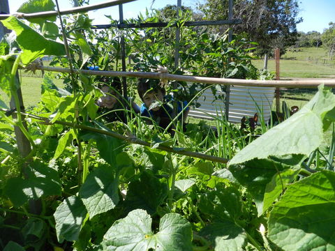 Hay Point Country BnB - Darwin Holiday 17