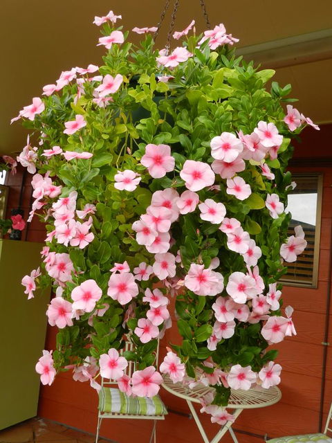 Hay Point Country BnB - Darwin Holiday 19