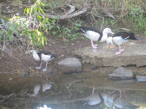 Hay Point Country BnB - Darwin Holiday 22